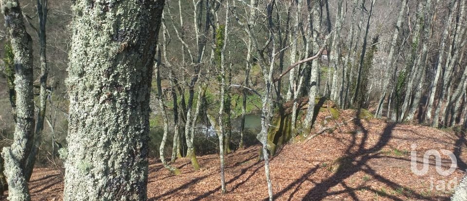 Terrain à bâtir à Campelo e Ovil de 13 110 m²