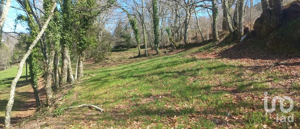 Terrain à bâtir à Campelo e Ovil de 13 110 m²