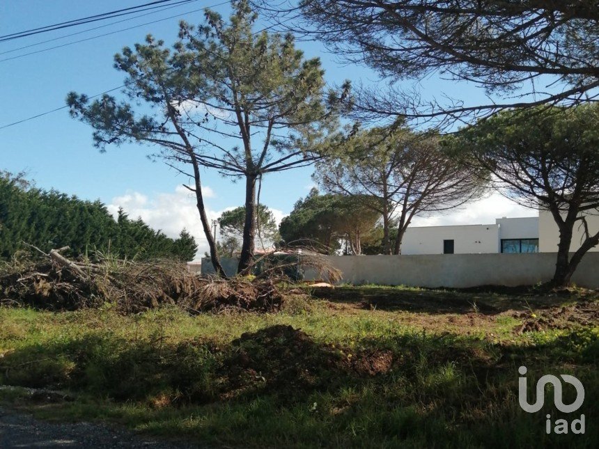 Terrain à bâtir à Nadadouro de 967 m²