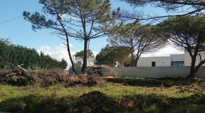 Building land in Nadadouro of 967 m²