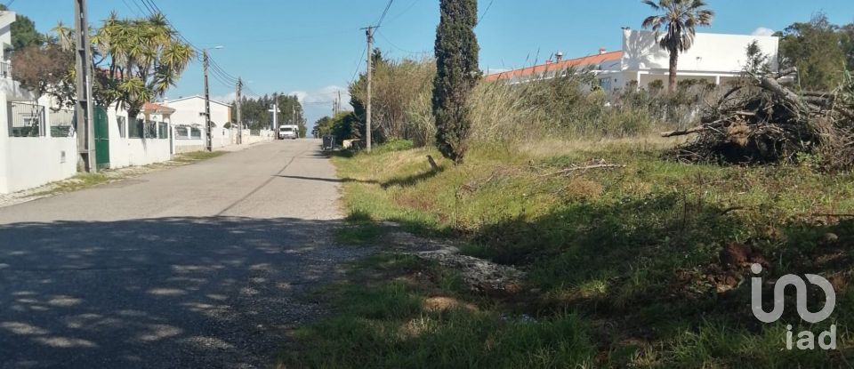 Building land in Nadadouro of 967 m²