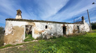Farm T3 in Luz de Tavira e Santo Estêvão of 362 m²