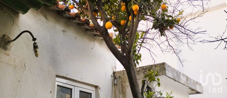 Traditional house T3 in Loulé (São Clemente) of 141 m²