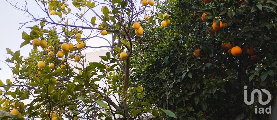 Traditional house T3 in Loulé (São Clemente) of 141 m²
