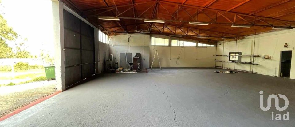 Boutique/Local commercial à Paderne de 473 m²