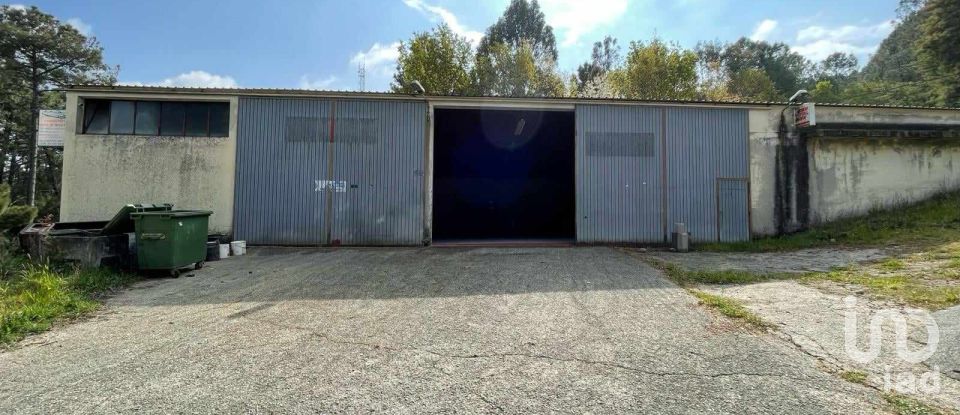 Boutique/Local commercial à Paderne de 473 m²