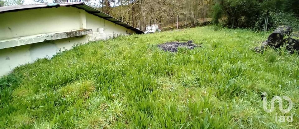 Boutique/Local commercial à Paderne de 473 m²