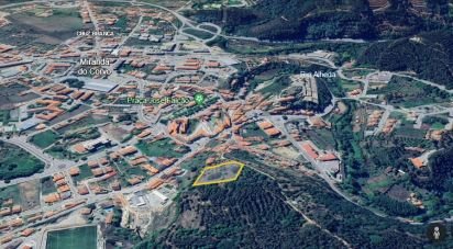 Terrain à bâtir à Miranda do Corvo de 3 860 m²