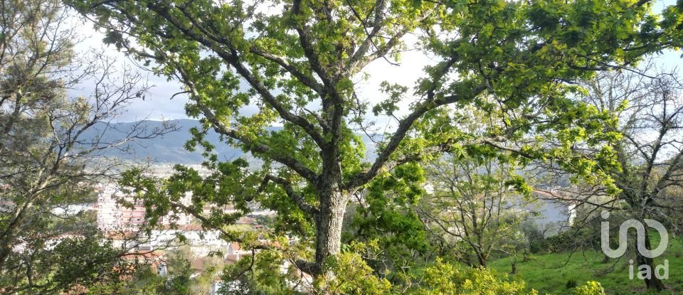 Building plot in Miranda do Corvo of 3,860 m²