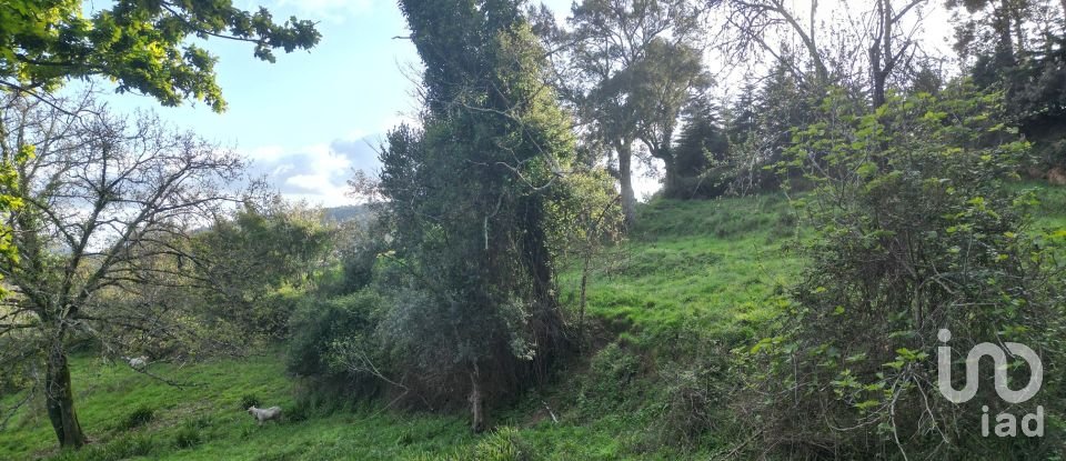 Building plot in Miranda do Corvo of 3,860 m²