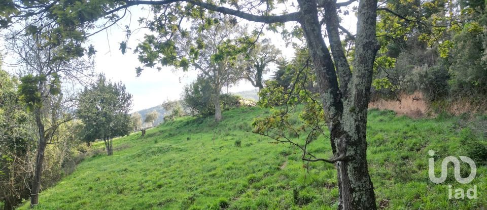 Building plot in Miranda do Corvo of 3,860 m²