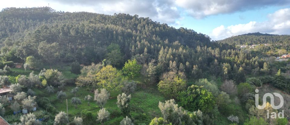 Building plot in Miranda do Corvo of 3,860 m²