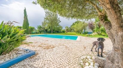 Farm T4 in Palmela of 239 m²