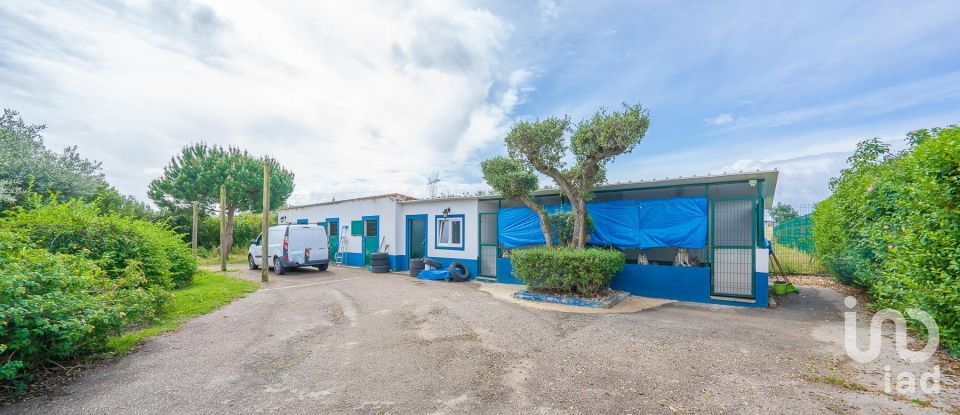 Ferme T4 à Palmela de 239 m²