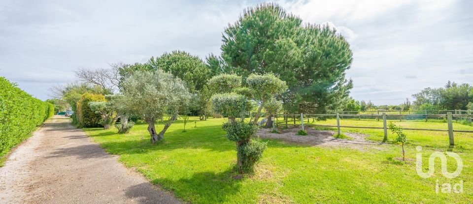 Ferme T4 à Palmela de 239 m²