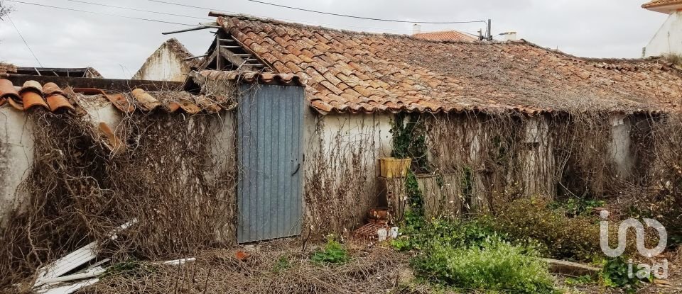 Traditional house T4 in Bombarral e Vale Covo of 194 m²