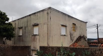 Maison traditionnelle T4 à Bombarral e Vale Covo de 194 m²