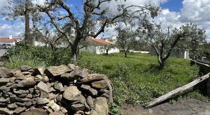 Terrain à Santa Cruz de 645 m²