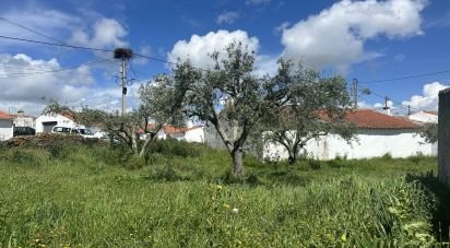 Terrain à Santa Cruz de 645 m²