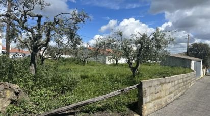 Terrain à Santa Cruz de 645 m²