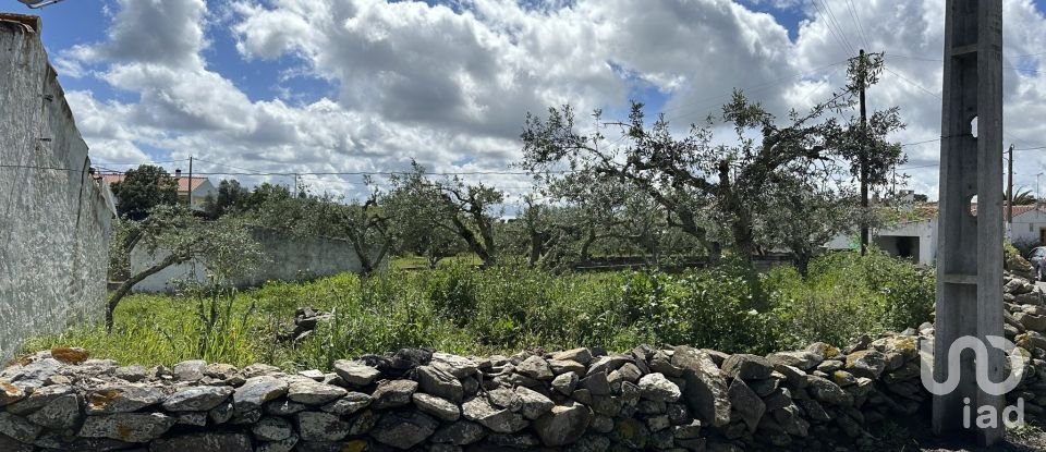 Terrain à Santa Cruz de 645 m²