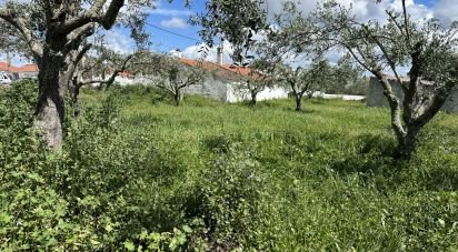 Terrain à Santa Cruz de 645 m²