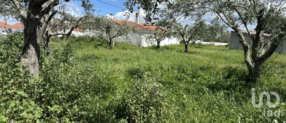 Terrain à Santa Cruz de 645 m²