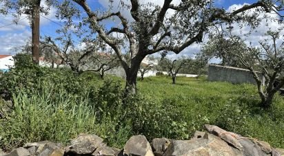 Terrain à Santa Cruz de 645 m²