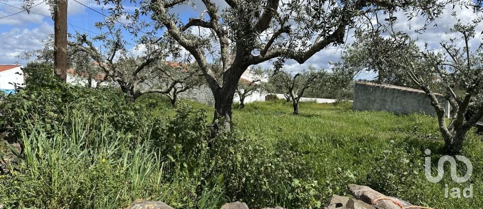 Terrain à Santa Cruz de 645 m²