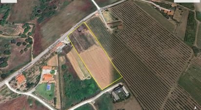 Ferme T3 à Carvalhal de 104 m²