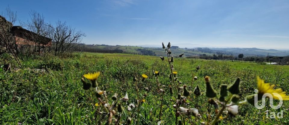 Quinta T3 em Carvalhal de 104 m²