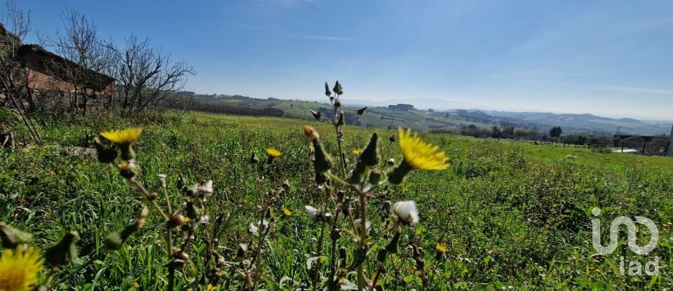 Quinta T3 em Carvalhal de 104 m²