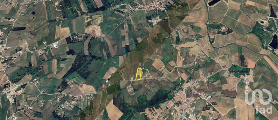 Quinta T3 em Carvalhal de 104 m²