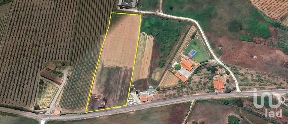 Farm T3 in Carvalhal of 104 m²