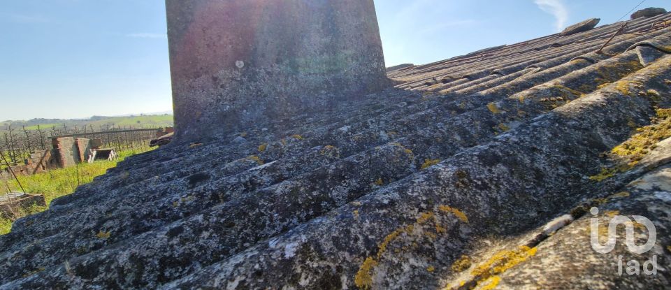 Quinta T3 em Carvalhal de 104 m²