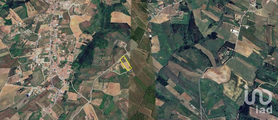 Quinta T3 em Carvalhal de 104 m²