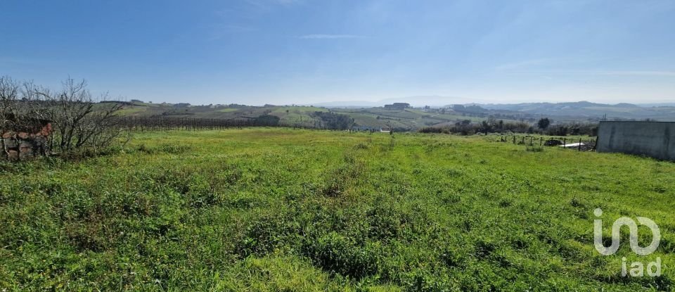 Quinta T3 em Carvalhal de 104 m²