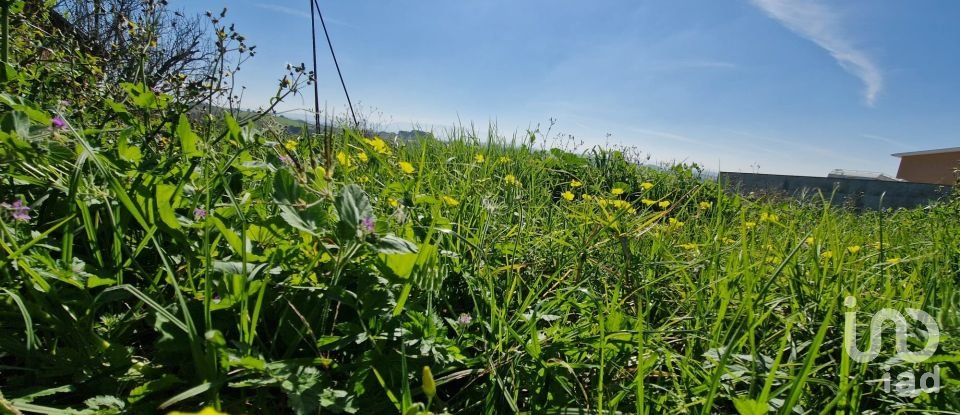 Quinta T3 em Carvalhal de 104 m²