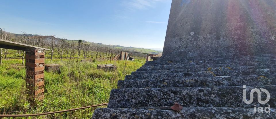 Quinta T3 em Carvalhal de 104 m²