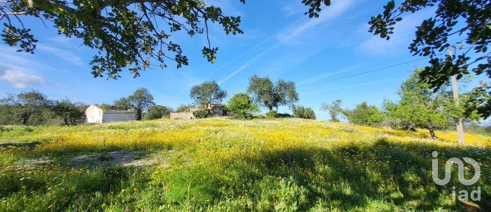 Terrain à bâtir à Santa Catarina da Fonte do Bispo de 230 000 m²