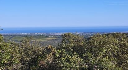 Building plot in Santa Catarina da Fonte do Bispo of 230,000 m²