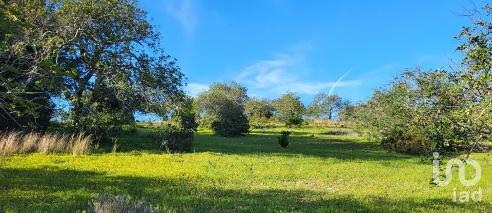 Terrain à bâtir à Santa Catarina da Fonte do Bispo de 230 000 m²
