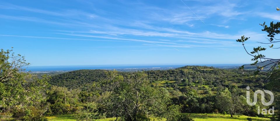 Terrain à bâtir à Santa Catarina da Fonte do Bispo de 230 000 m²