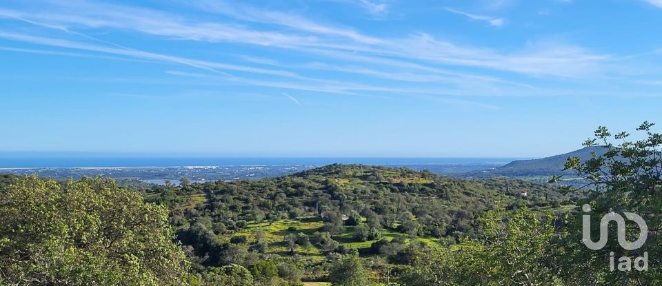 Terrain à bâtir à Santa Catarina da Fonte do Bispo de 230 000 m²