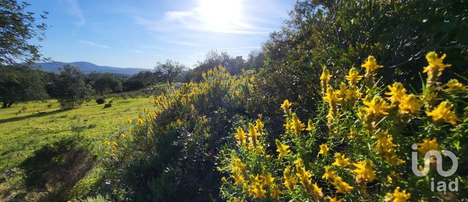 Terrain à bâtir à Santa Catarina da Fonte do Bispo de 230 000 m²