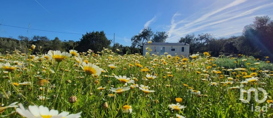 Terrain à bâtir à Santa Catarina da Fonte do Bispo de 230 000 m²