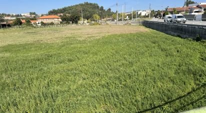 Terreno para construção em Cristelos, Boim e Ordem de 5 036 m²