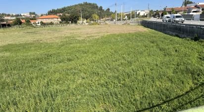 Terrain à bâtir à Cristelos, Boim e Ordem de 5 036 m²