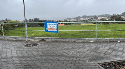 Terreno para construção em Cristelos, Boim e Ordem de 5 036 m²