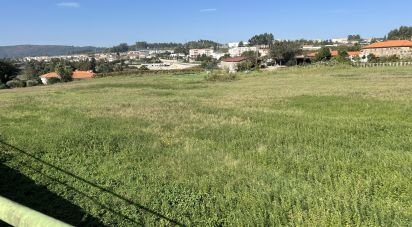 Terrain à bâtir à Cristelos, Boim e Ordem de 5 036 m²